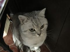 -不舍昼夜咖啡馆