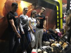 -东浩兰生上海世博展览馆