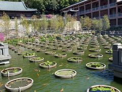 -石峰岩寺