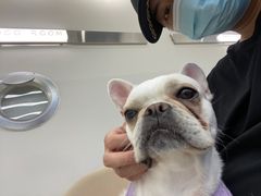 -怪兽屋·羊驼·猫咖·狗咖(俊华广场店)