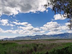 -野鸭湖国家湿地公园