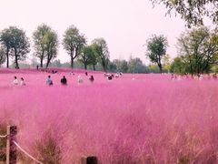 -汉长安城未央宫国家考古遗址公园