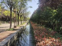 -洛阳市隋唐城遗址植物园