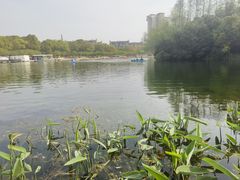 -新江湾城公园