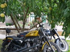 -金谷域澳洲庄园