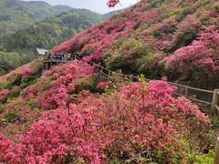 -木兰云雾山