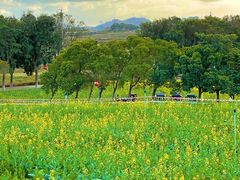 -光明小镇欢乐田园