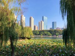 -后襄河公园