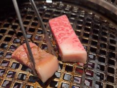 -松阪牛焼肉M(法善寺横丁店)