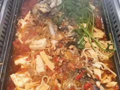 -黑猫馋纸包鱼(阳光店)