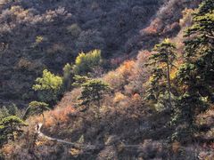 -香山公园