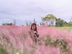 -桤木河湿地公园