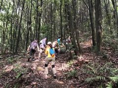 -西湖风景区十里琅珰-五云山