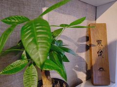 -微饮cafe