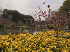 -圩墩遗址公园
