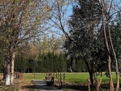 -汉长安城未央宫国家考古遗址公园