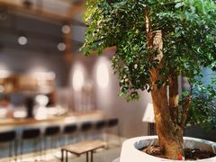 -GOTLOT COFFEE&KITCHEN角落厨房NOOK店
