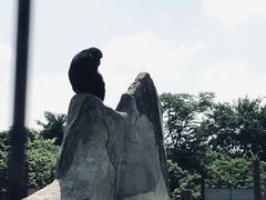 -南昌动物园