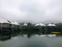 -帐篷客·溪龙茶谷度假酒店