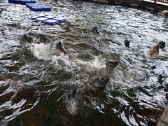 -华夏文旅海洋公园