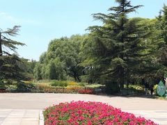 -海淀公园