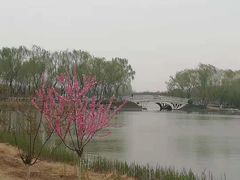 -大兴滨河森林公园