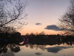 -绍兴镜湖国家城市湿地公园