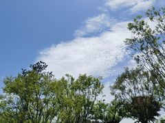 -四里河滨水生态公园