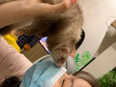 -藦茜花园宠物主题亲子互动体验馆(国顺东路店)