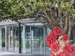 -昆山城市生态森林公园