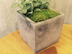 -来回·咖啡(天河南店)