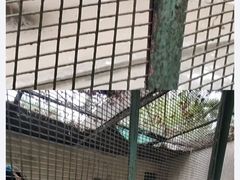 -北京动物园