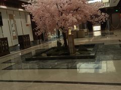 -添赐温泉馆(上南路店)