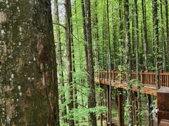 -山王坪喀斯特国家生态公园