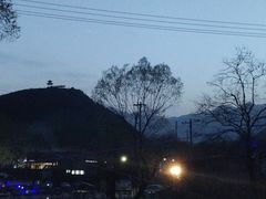 -双新垂钓园