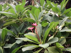 -厦门日月谷温泉渡假村