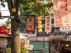 -猫的魔法密林(衣裳街店)