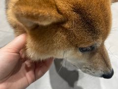 -NOTBAD 须时·咖啡馆