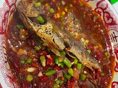 -欧记大排档·景德菜(上海首店)