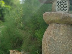 -厦门园林植物园-植物园滴水山房