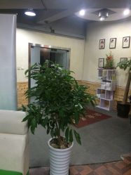-镁连社·美联社