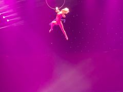 -珠海横琴长隆《卡卡虎奇遇记》