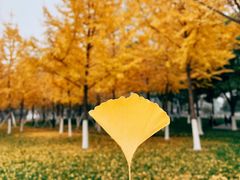 -豫楚源美猴王·面(武展店)