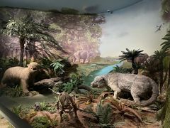 -湖南省地质博物馆