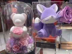 -ROSEONLY诺誓(磐基中心店)