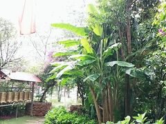 月亮眼门口风景-月亮眼花园餐厅书吧酒吧