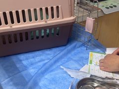 -美联众合动物医院·24h京西诊疗中心