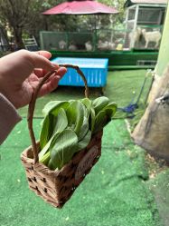 -可可天空农场(中大店)