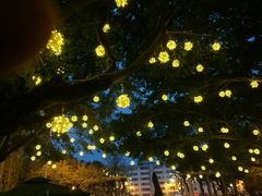 -温江公园