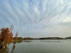 -海珠湖公园